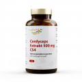CORDYCEPS EXTRAKT 500 mg Kapseln